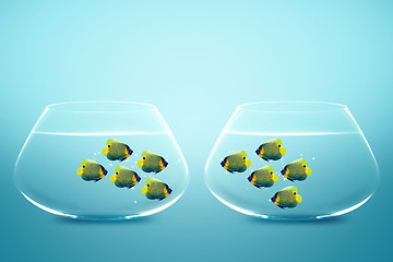 Image showing Two groups of angelfish in fishbowls 