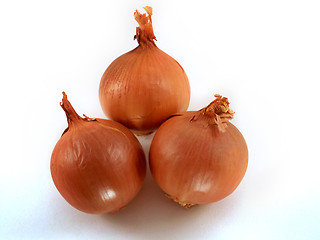 Image showing Fresh bulbs of orange 