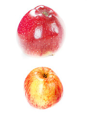 Image showing red apple