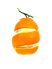 Image showing Orange peel 