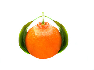 Image showing Fresh Orange