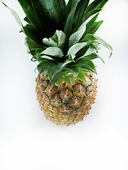 Image showing Fresh pineapple 