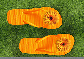 Image showing Colorful Flip Flops on green grass