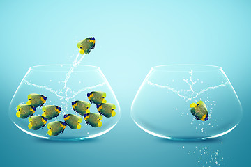 Image showing Anglefish jumping to Big bowl