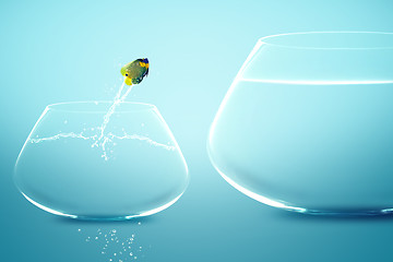 Image showing Anglefish jumping into bigger fishbowl