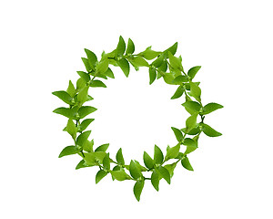 Image showing Wreath from Green leaves