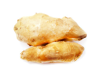 Image showing Gingers in flavoring cooking 