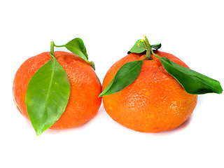 Image showing Fresh Tangerine 