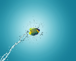 Image showing Angelfish jumping out of water