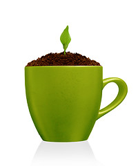 Image showing Young plant growing in green mug