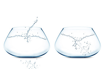 Image showing Empty Two fishbowls 