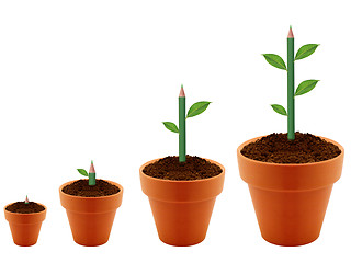 Image showing Green Plant growing