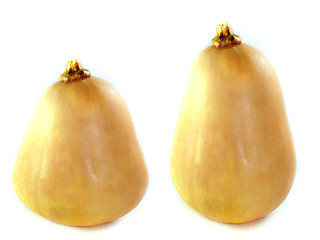 Image showing butternut squash