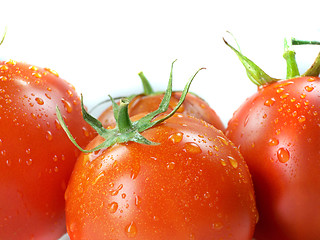 Image showing Red tomatoes