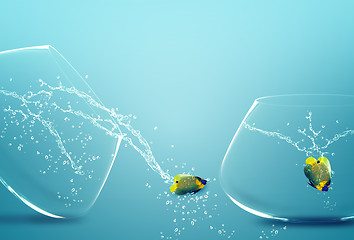 Image showing angelfish jumping out of  fishbowl