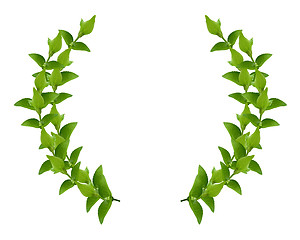 Image showing Wreath from Green leaves