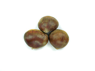 Image showing chestnuts 