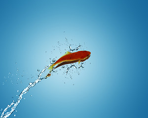 Image showing Golden fish jumping out of water
