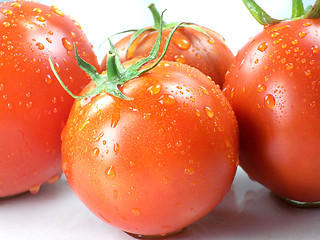 Image showing Red tomatoes