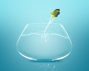 Image showing angelfish jumping and doing Acrobatic show