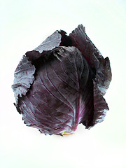 Image showing Red cabbage