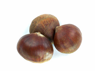 Image showing chestnuts 