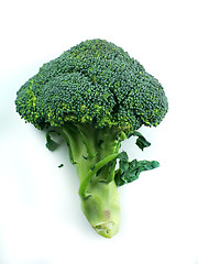 Image showing broccoli