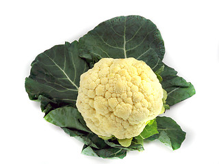 Image showing Cauliflower