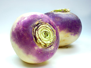 Image showing purple headed turnips on white background 