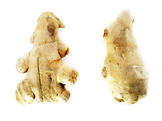 Image showing Gingers in flavoring cooking 