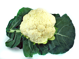 Image showing Cauliflower