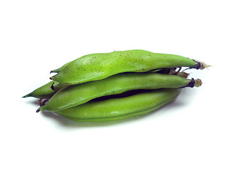 Image showing broad beans