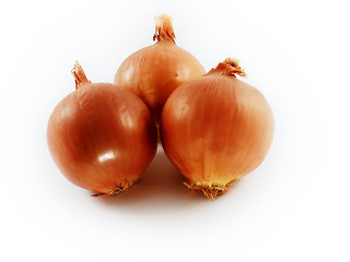 Image showing bulbs of onion