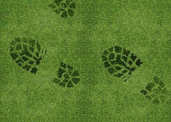 Image showing Shoe print on green grassland