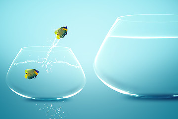 Image showing Anglefish in small fishbowl watching goldfish jump into large fi