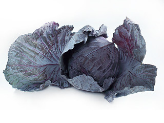 Image showing Red cabbage