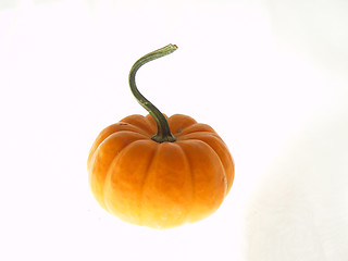 Image showing Halloween Pumpkin