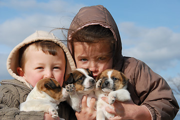 Image showing children and puppies