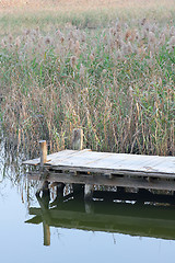 Image showing wooden pier in tranquil lake at morning 