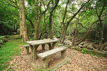 Image showing Picnic place in forest 