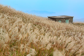 Image showing old stone house with grass on the mountain 