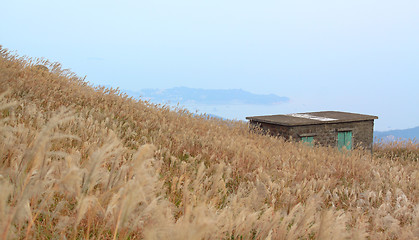 Image showing old stone house with grass on the mountain 