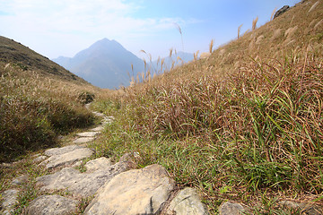 Image showing Stone path in the mountains