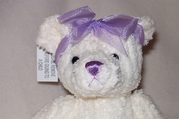 Image showing candlewick teddy