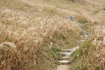 Image showing Stone path in the mountains