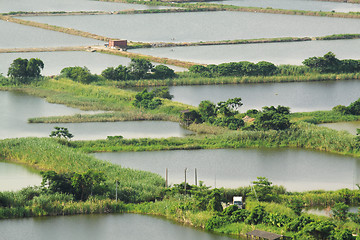 Image showing Rice terrace landscape in China 