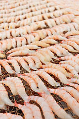 Image showing Small dried shrimp