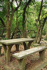 Image showing Picnic place in forest 