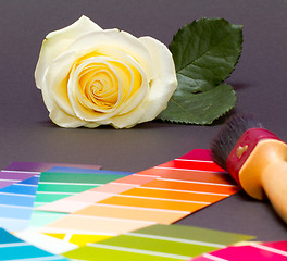 Image showing Painting a white rose