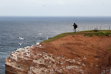 Image showing A photographer on Helgoland 